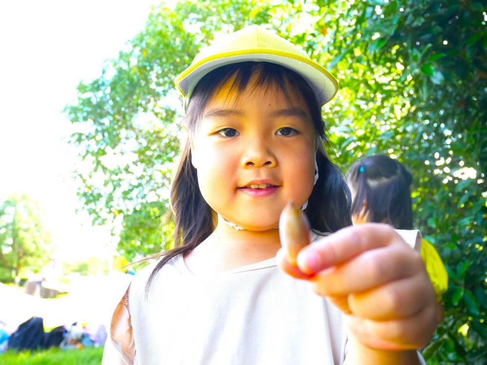 「なんか匂いがする！」
葉っぱの下に隠れていた少し湿ったどんぐり
乾いているどんぐりとはまた違う匂いに気付く…
