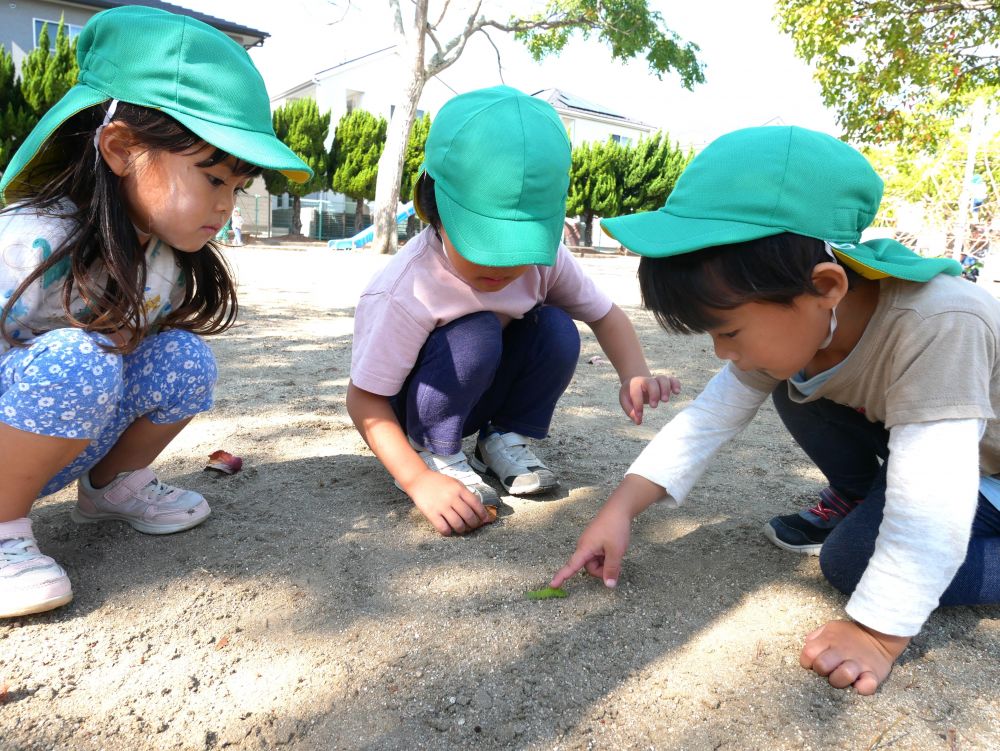 公園に着いたらさっそく大好きな虫探し
Rくんはさっそく何かの幼虫を見つけました
『なにこれ何の虫？』
『多分サナギになってちょうちょになるんじゃろう♡』
幼虫を何度かみんなで育てたことがあるので
自然と身についた知識ですね