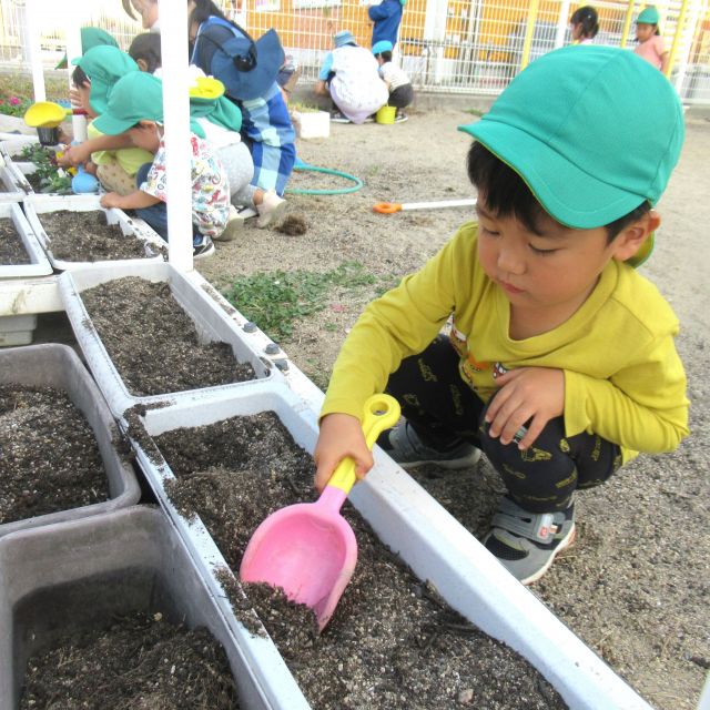 ＊　３歳児　花を植えよう　＊