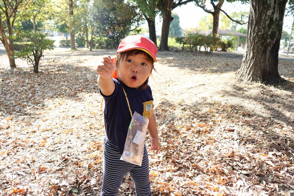 公園について、木の下を探検していると・・・
「どんぐり、あった！」
地面に小さなどんぐりが落ちているのを発見！


「　どんぐりころころ　どんぶりこ～♪　」

Nくんはどんぐりの歌を口ずさみながら、ジャーン！
みんなで歌いながら拾うと、楽しさ倍増・・・