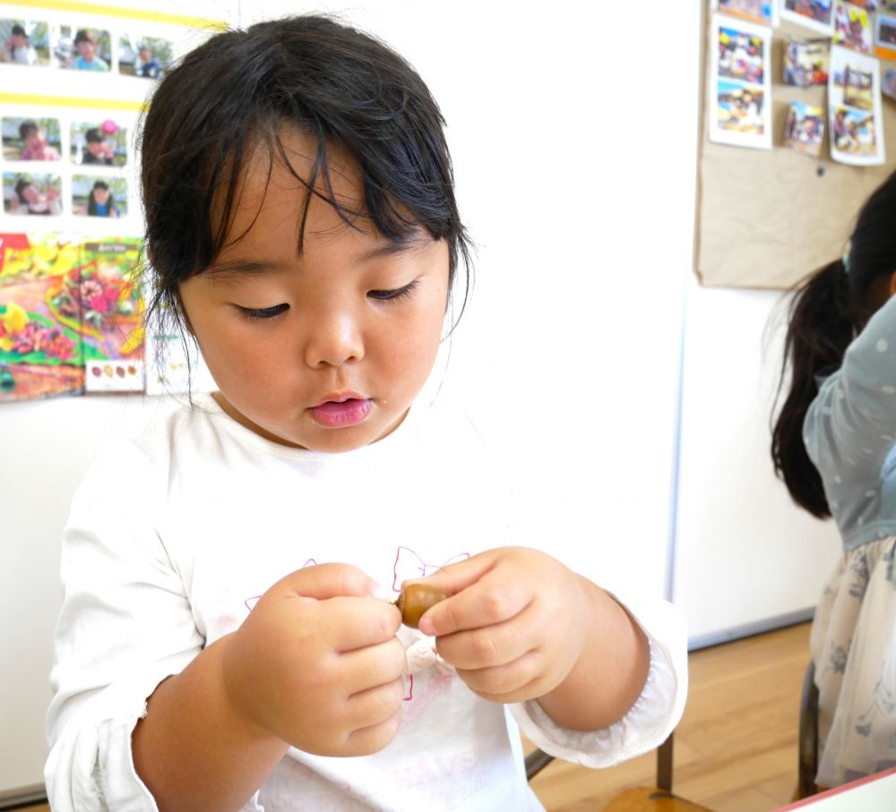 身近な自然物がアイデア一つで
可愛いアクセサリーに大変身♡
様々な形や大きさに気付き
アクセサリー作りを通して秋の自然を楽しむ



散歩で拾ったどんぐりや落ち葉、イチョウの葉を使い
秋ならではのアクセサリー作りを楽しむ♪

何度やってもネジが取れる…手先を器用に使って
どんぐりを回したりネジの方を回したり何度も繰り返し試す