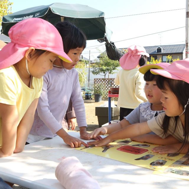 ＊　4・5歳児　どんぐりやさん①　＊