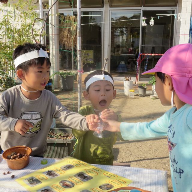 ＊　4歳児　どんぐりやさん③　＊