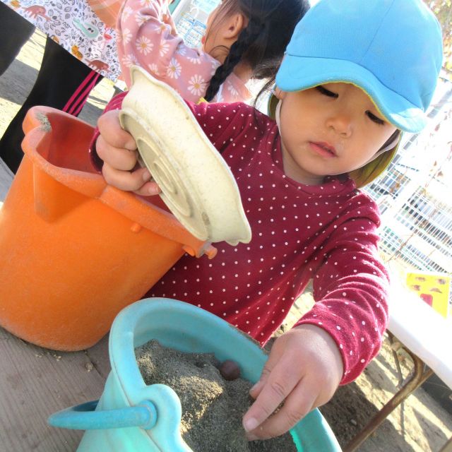 ＊　2歳児　自然物でごちそう①　＊