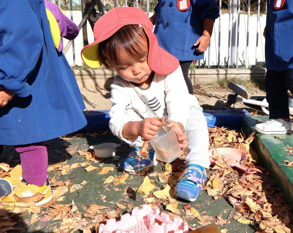 落ち葉を使って、いろいろな遊びを楽しむ姿も！
また異年齢との関わりを通して、憧れの気持ちや思いやりの気持ち
色々な気持ちが芽生えています♡



落ち葉プールにコップを持ってきたYくん
　「いっぱいにするんですよ～」
落ち葉をジュースに見立てて、ジュース屋さんになりきる！