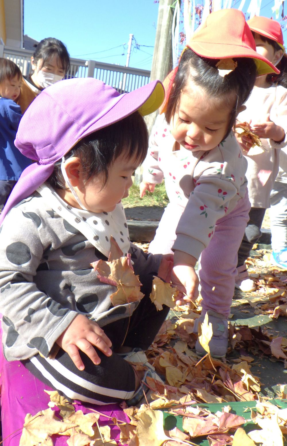 　「どうぞ～」
Aちゃんの身体に優しく落ち葉をかけるTちゃん

最初はちょっぴりドキドキしていたAちゃんも
だんだん笑顔に・・・♡
その様子を見てTちゃんも微笑み、また落ち葉集めへ！
幸せがいっぱい広がる♡