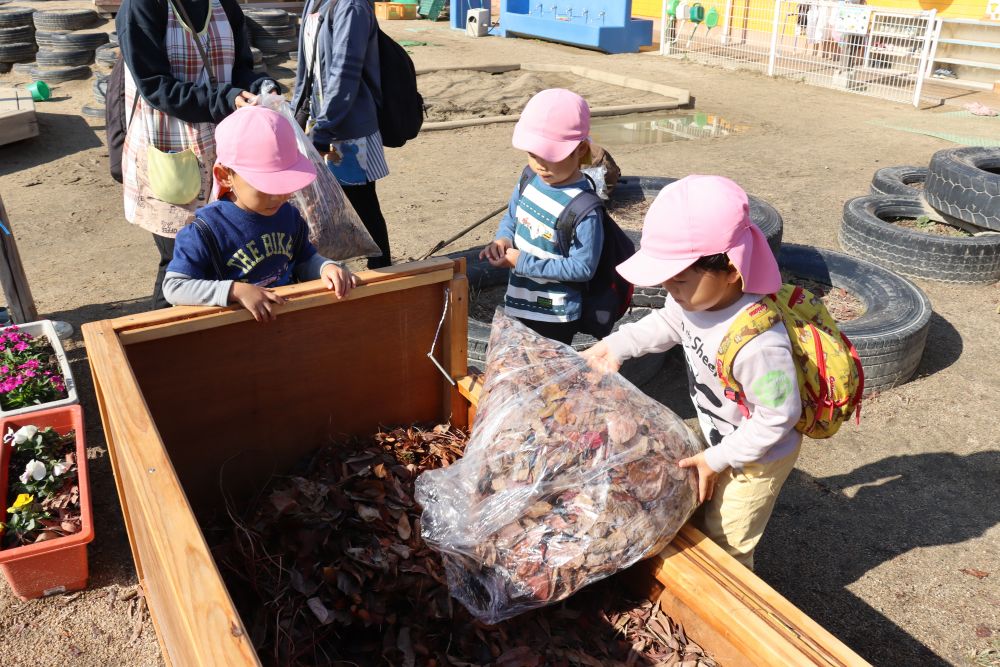 本当は公園の掃除はついで？
集めた葉っぱを箱の中に入れて、腐葉土作り♪

子ども達は「カブトムシの幼虫のお家」