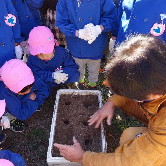 ＊　4歳児　菜園活動　（門田認定こども園）　＊