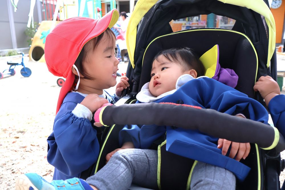 11月にウサギ組に新しい友達が増えました
園の先生や友達と触れ合う中で、園にも慣れ日に日に笑顔がよく見られるように♡



ベビーカーで、園庭を散歩していると、『はじめまして』とヒヨコ組さんが話しに来てくれました
Rちゃんも友達を眺めながら友達に興味津々
心地よさそうにお話しの時間を楽しんでいる様子・・





