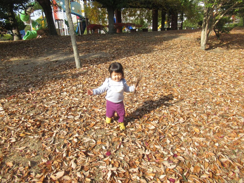 東尾道公園に到着
芝生広場で自然物に触れながら、のびのびと体を動かして楽しむ


仲良しのＮくんと一緒に先生と、どんぐり探し
風でパラパラと木の花が舞い落ちる様子がとっても綺麗
目の前に落ち葉のじゅうたんが広がって大興奮のHちゃん
おもわず、坂道をかけて楽しむHちゃんです♡
