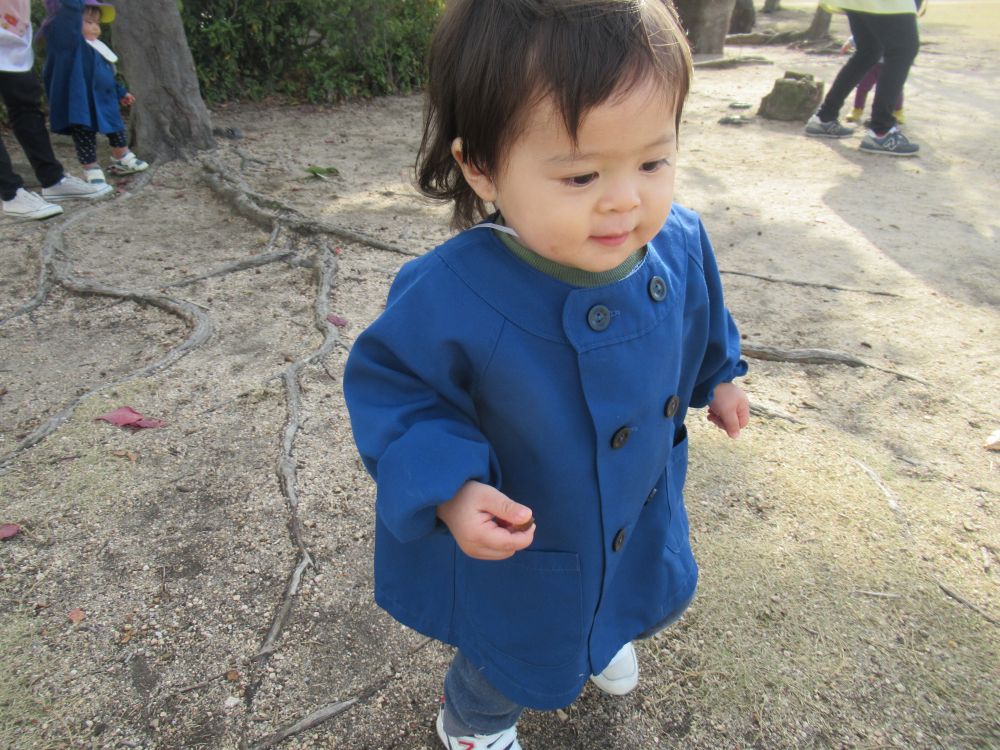 お日様のポカポカと温かい日差しや、心地よい風を感じながら、芝生広場でみんなとかけっこ遊び
「よ-いどん！」
先生が声を掛けると、かけっこするウサギ組さんたち

気持ち良さそうに広場をかけて楽しむZくん
友達が楽しそうにどんぐりを拾う姿を見て、どんぐり拾いも楽しんだよ♡

