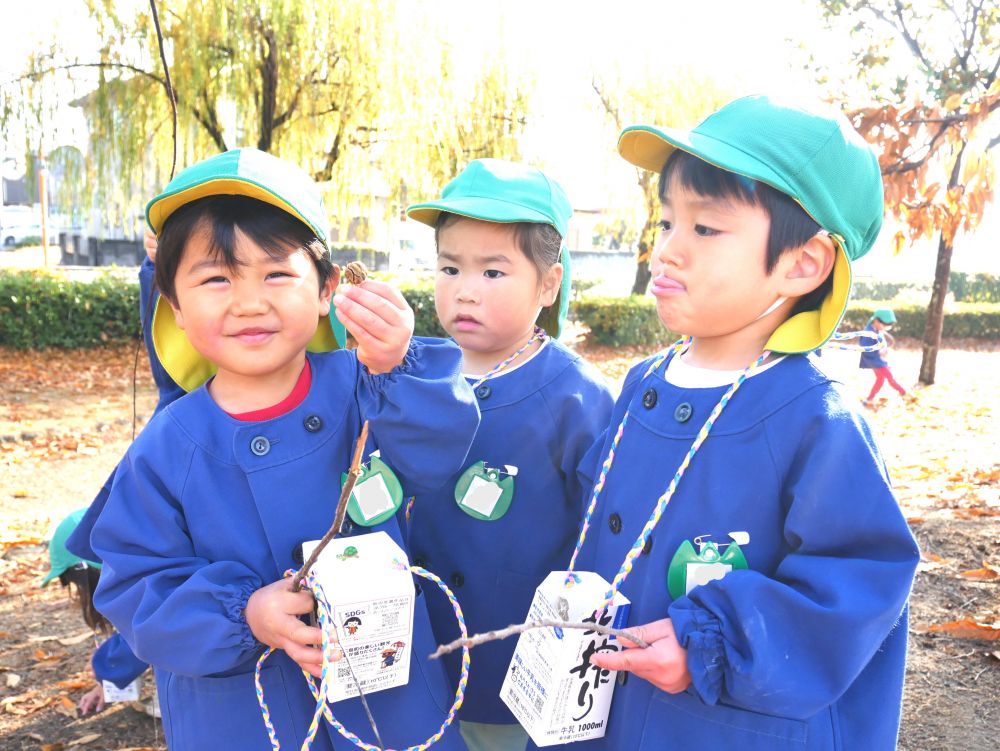 『これメタセコイア！』
『稗田先生探してたやつじゃん！』
『リース作って遊ぶんよね～♡もうすぐクリスマスだからね』
先生の話もよく聞いているリス組さん