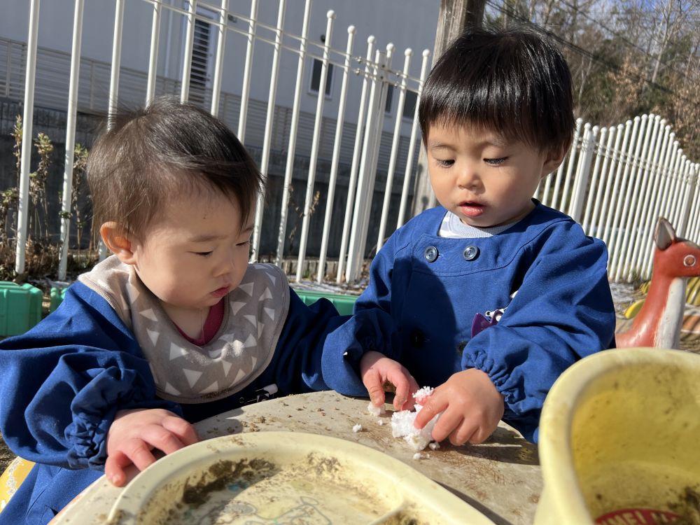 あいはうすに雪がつもったよ
寒さにも負けずウサギ組さんも
お外で雪遊びをしたよ😊

ふたりとも雪に興味津々の様子。
雪を触ったり、お皿に入れたり楽しんだよ



