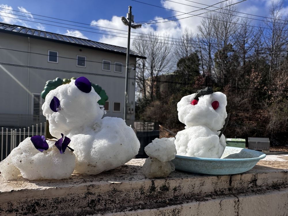 かわいい雪だるまがたくさん並びました⛄

また雪降るかな～❆