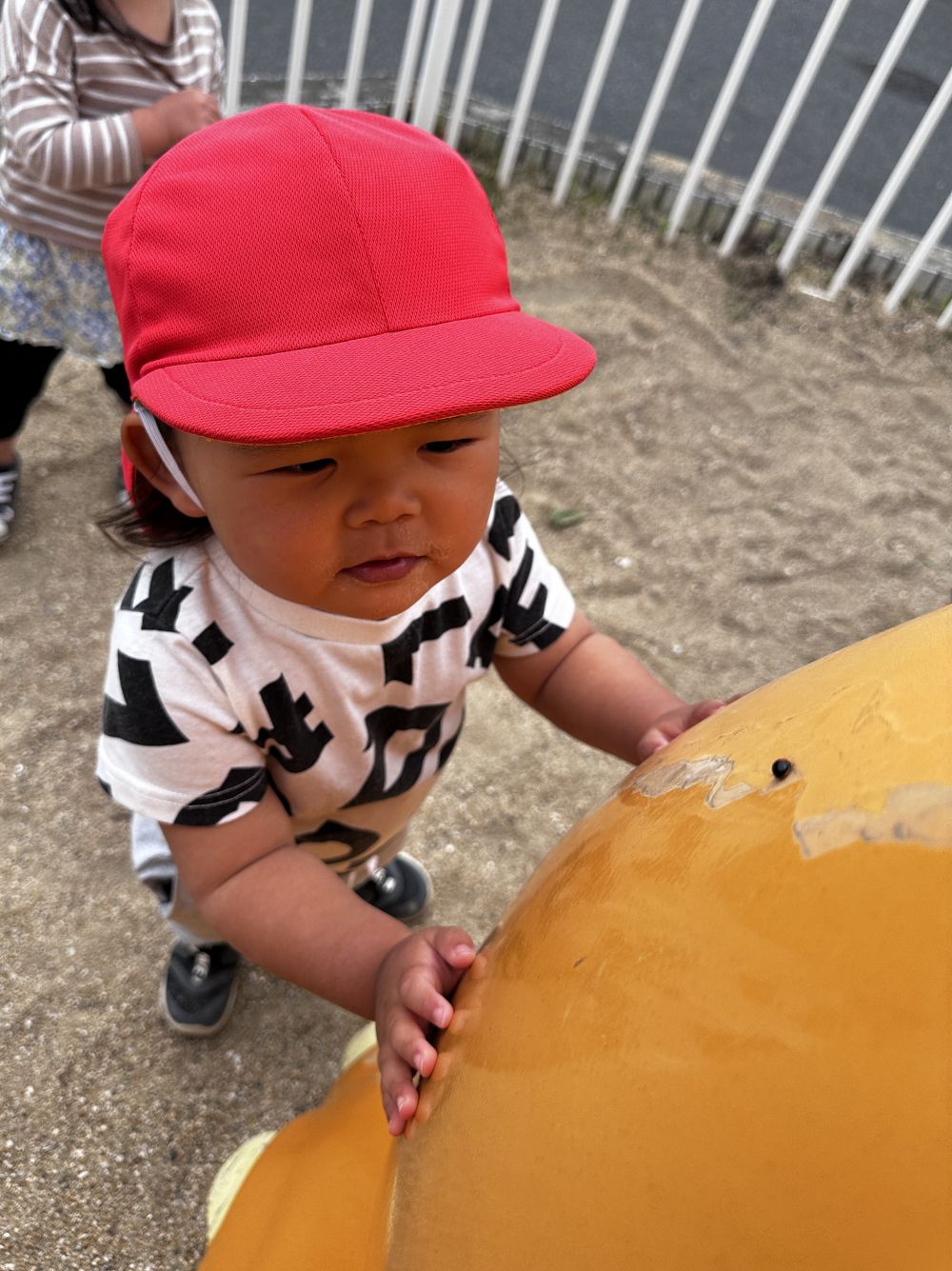 園庭で遊んでいると・・・

「せんせい！何かおるよ！」と、Rちゃん♪

すべり台に、てんとうむしがくっついていました🐞
しばらくのあいだ、じーっと観察するRちゃん。
「赤いね～」「黒いね～」
遊びの中で、色の名前も自然と覚えてきています♪