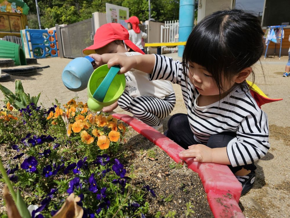 花壇にはたくさんのお花🌹
園庭に出ると、
すぐに水やりをしてくれます♪
