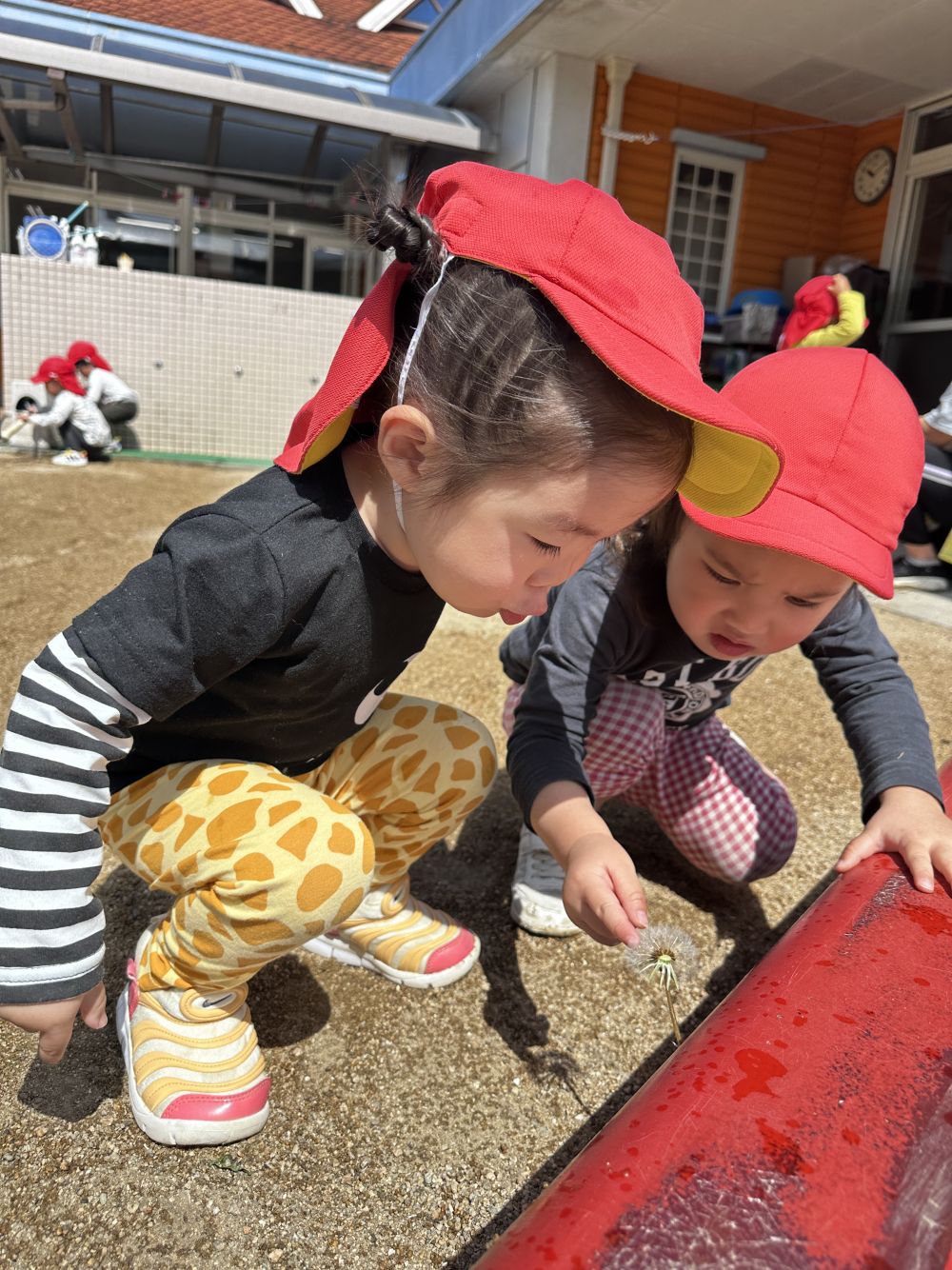 こんなところに・・・

子どもたちのの目線でしか見つけられない場所？！

「ふわふわしてるのあったよー！」と、
たんぽぽの綿毛を見つけたＮちゃんとＳちゃん♪