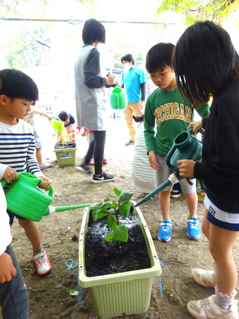 プランターに植えた後は何がいる？
そのままで大きく育つのかな？

「みずー！！」

植えた日はたっぷり水をあげましょう♪
大きいジョウロや小さいジョウロ、いろんなもの使ってたっぷりあげました。

これから毎日の生長、みんなで観察しようね。
夏にはたくさんの野菜が育つかな、楽しみだね♡