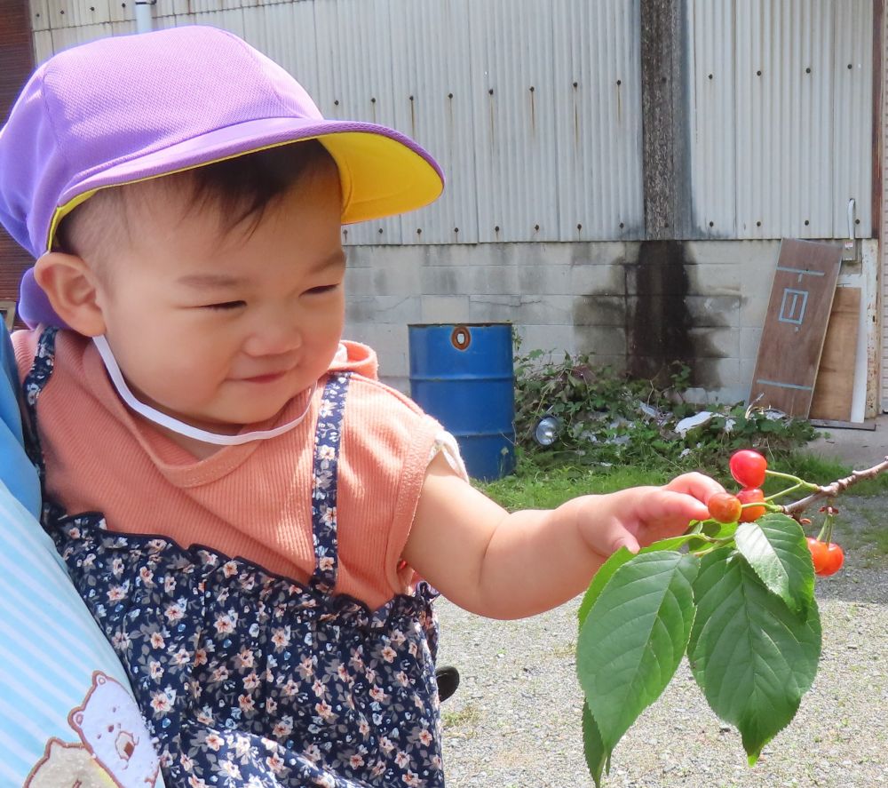 ”さくらんぼ”
　かわいい💕

お休みの日も、お散歩してみてね♪