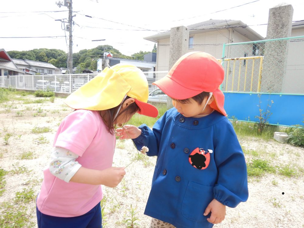 こちらでも・・
Jくんが息を吹きかけているものの
なかなか飛ばず・・

思わずHちゃんに
”これふーして”
Hちゃんに託します🙏

でもふーしてもなぜか飛ばず？？？・・
考えて不思議そうな２人・・・

よーく見るとわたげではなくて
シ・ロ・ツ・メ・ク・サ☘️でした♡笑
