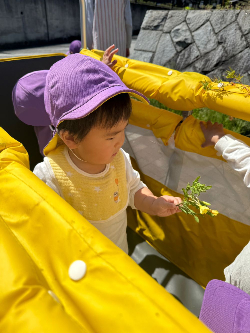 お散歩コースの途中にはたくさんの花が咲いていました🌼
1つもらって観察中・・・👀
最後まで大切に持って帰ったよ♡