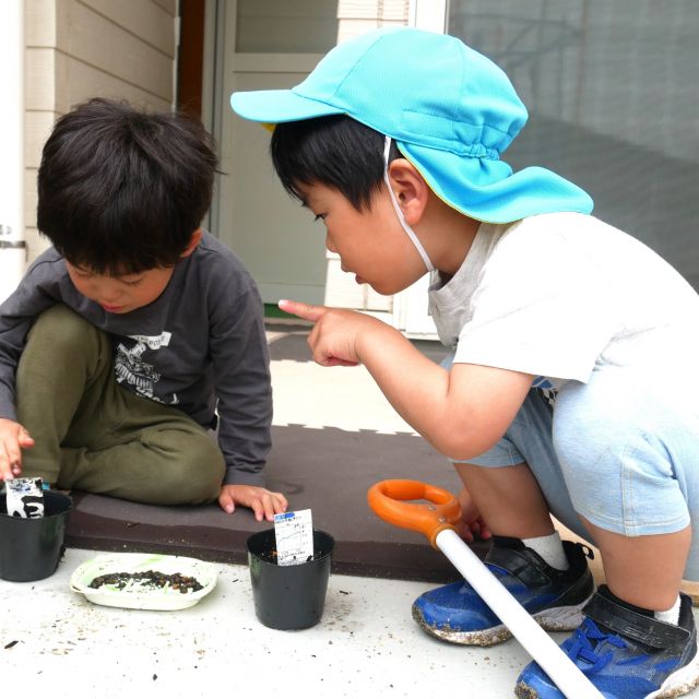 ＊　３歳児　　どんな花が咲くかな？　＊