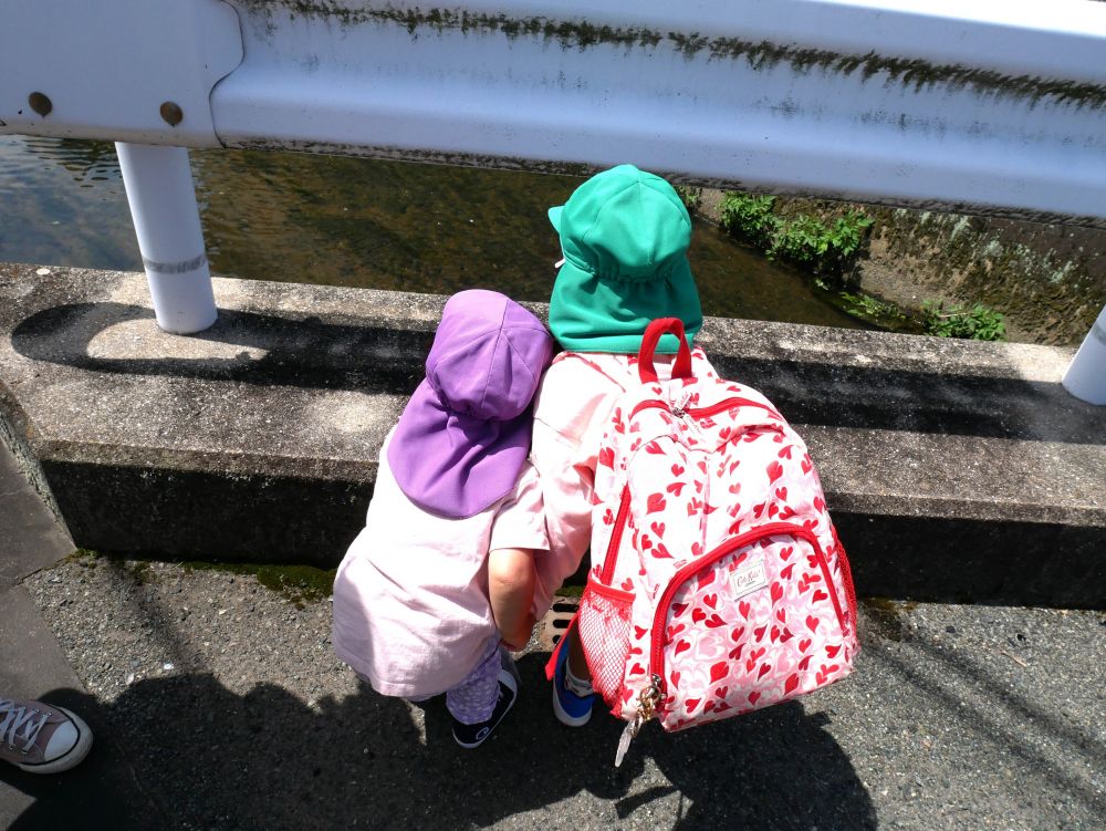 帰りの道草も忘れずに‼