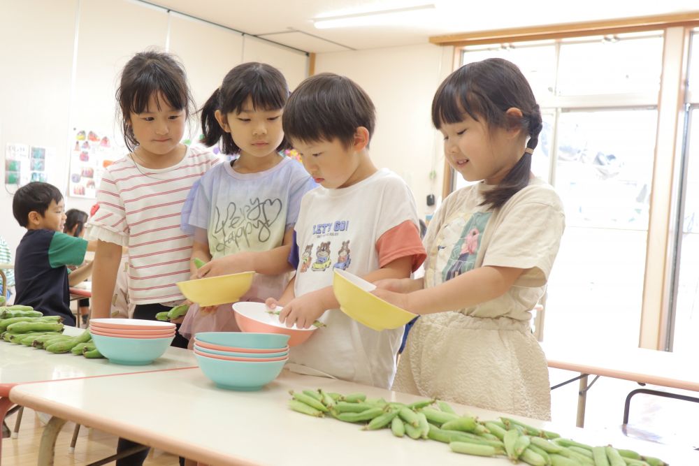 今月の食育活動は
”そら豆とグリーンピースの皮むき”
そら豆は1人2つ
グリーンピースは1人3つ
お皿はグループで2枚
グループ毎で順番に取りに行きます
覚えられたかな?
分からなくなったら友達に聞いて・・・
席に戻って、グループのみんなで確認
「1・2・3・・・あれ、お皿が3枚だ!」
「1枚多い!」