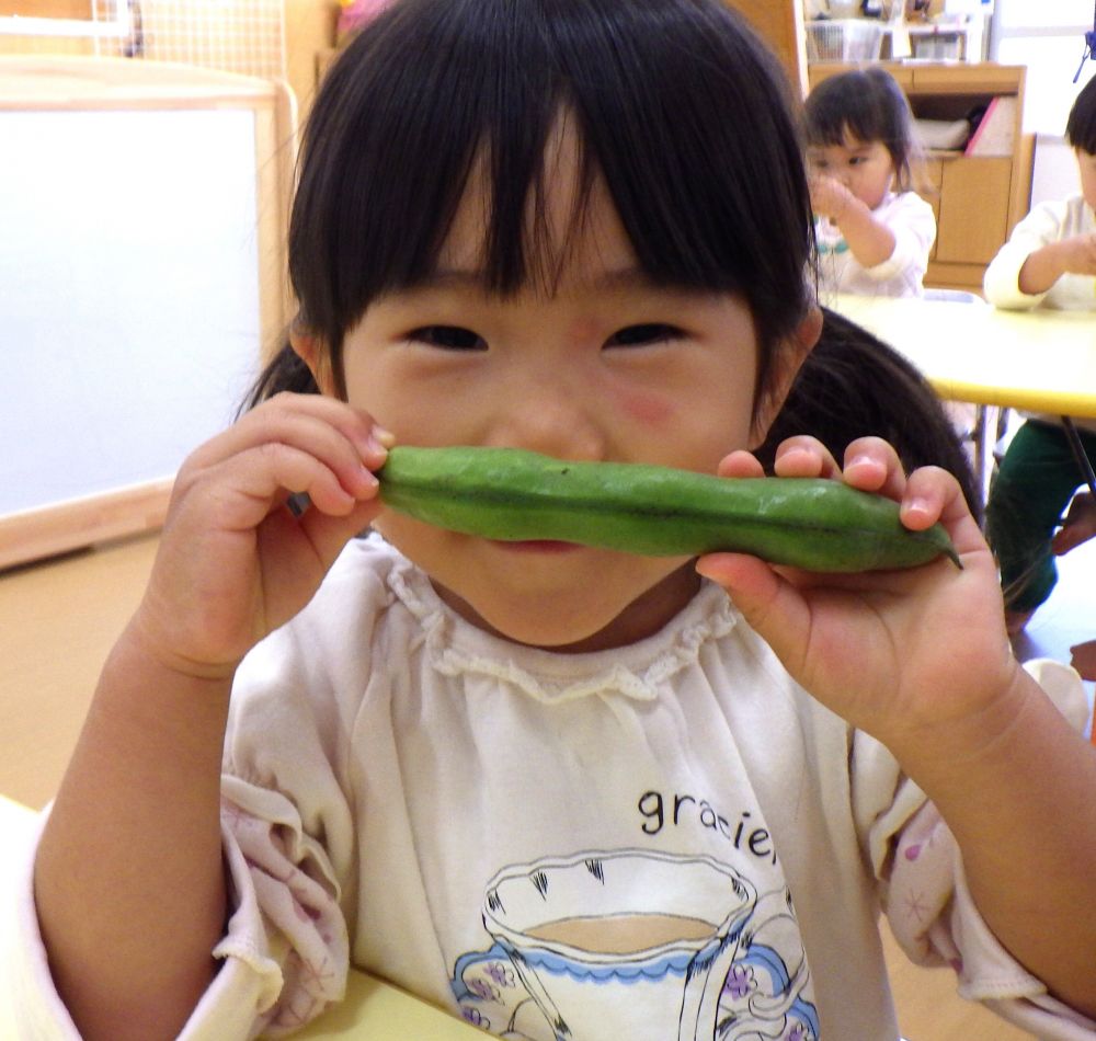 そら豆の皮むき

どんな匂いがするかな？
　「マメのにおい～✨」