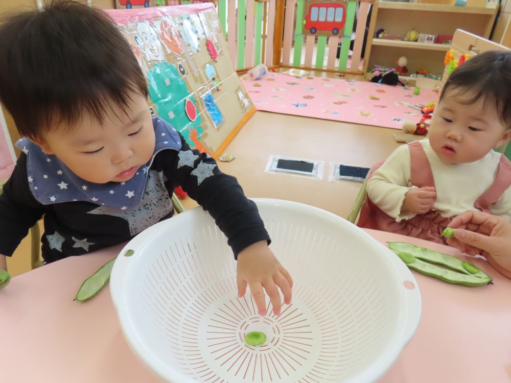 ウサギ組さんもそら豆の皮むき♪

　「この中に入れてね！」
上手に入れることができました✨