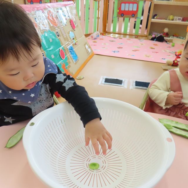 食育の日🐰🐤