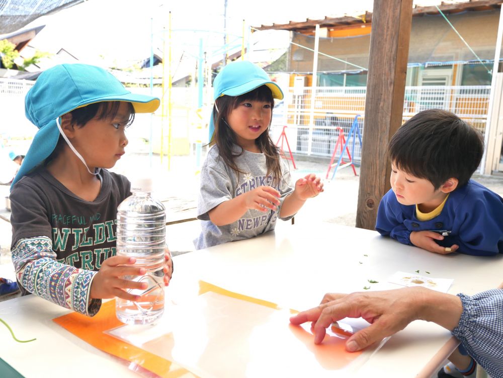 『この花可愛いから飾りたい』
花瓶に入れて飾ったり・・・
自分たちで飾りを作って楽しみました
ペットボトルで上からお花を叩いて叩き染めに♡
とんとんとん・・・　とんとんとん・・・
『あっ・・・なんか模様が見えてきた』