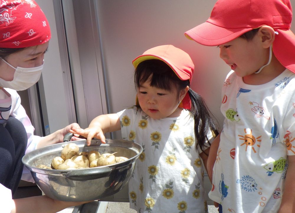 収穫したジャガイモを給食室までお届け✨
「今度、給食に入れるね💗」