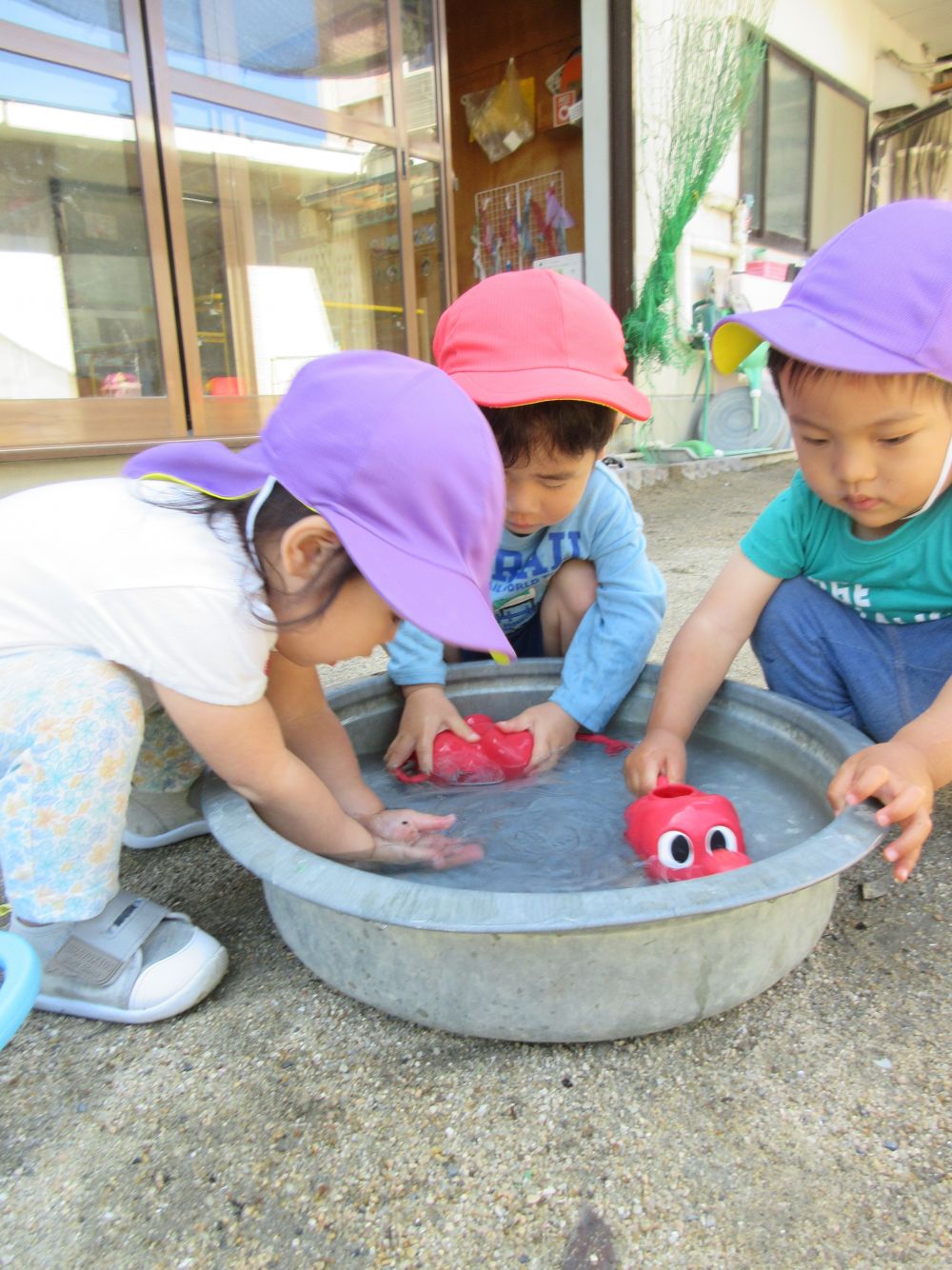 5月も終わりに差し掛かり
時には汗ばむくらい暑い日も ！ ！ 

タライに水を入れてみると・・・
自分たちでジョウロを持ってきて
水をいれようとするヒヨコぐみのYくんとTちゃん。
でもタライが浅くて水が入らない！！
