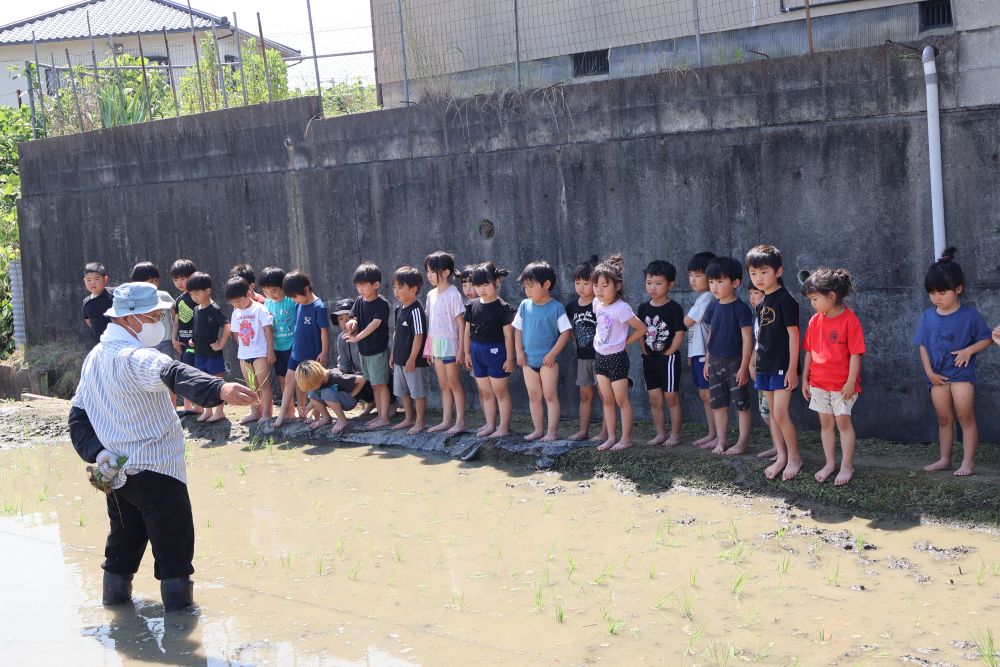 やる気に満ち溢れている子どもたち
『お願いします！！』
と自ら元気よくあいさつ

虫も気になるけど ・ ・ ・ 
それは後でのお楽しみ！

おじいちゃんの話をよく聞いて
田植えの仕方を教えてもらいます
