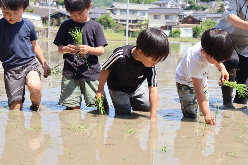 泥の感触にびっくりしながらも
『１・２・３・４・５・・』と数を数えながら
集中して取り組む子どもたち
