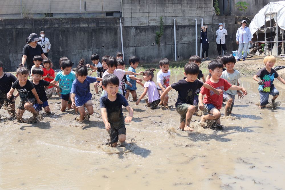 田植えが終わった後は
泥んこ遊び♡

まずは全員で
　　　「よーい、ドン！！」
