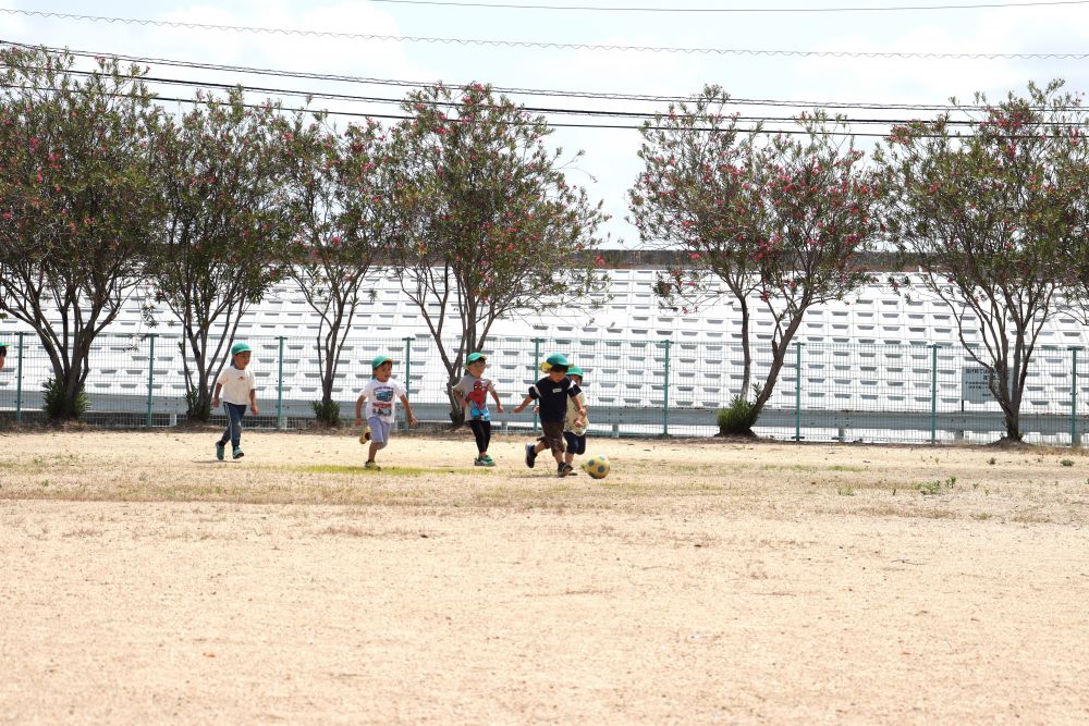 ダイナミックに走りボールを追いかけるゾウ組さんたち
広いスペースでサッカーを楽しみます