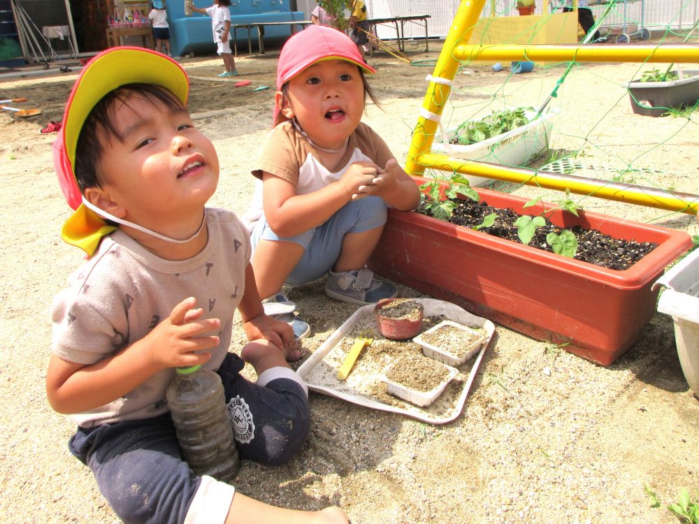 かき氷がこぼれたら二人で盛り直したり
片方がお皿を出したら、もう一人がシロップをかけたり
遊びの中で助け合ったり、協力し合ったりする場面もありました
みんなが喜んでくれた「かき氷」
YくんもNくんも夢中になって作って渡して
かき氷屋さんを一緒に楽しむことができました♪