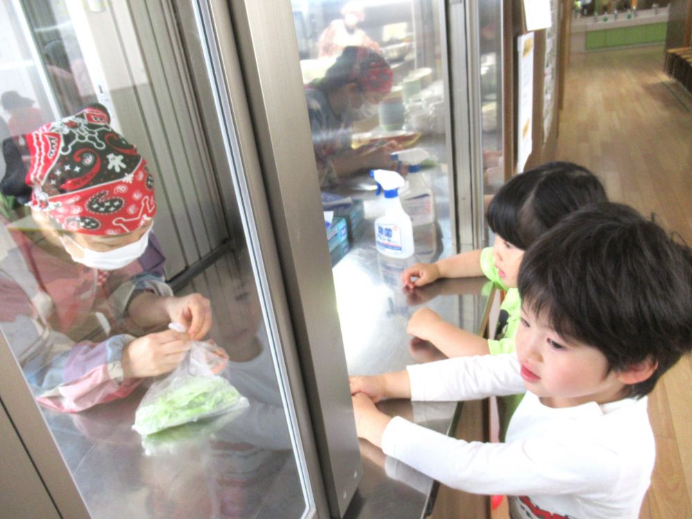 季節ならではの虫の飼育を楽しんでいるリス組さん
どんな食べ物がいいかな?
友達と先生と一緒に考える姿がみられます
食べ物がある場所と言えば・・・給食の先生の所!!
『なにかちょーだい♡』
『かたつむりさんにあげるんだぁ~』
キャベツと人参を分けてもらいました