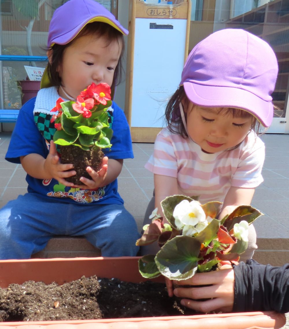 緑化推進委員会から
いただいた花の苗を植えました🌼

ヒヨコ組さんは初めての経験✨