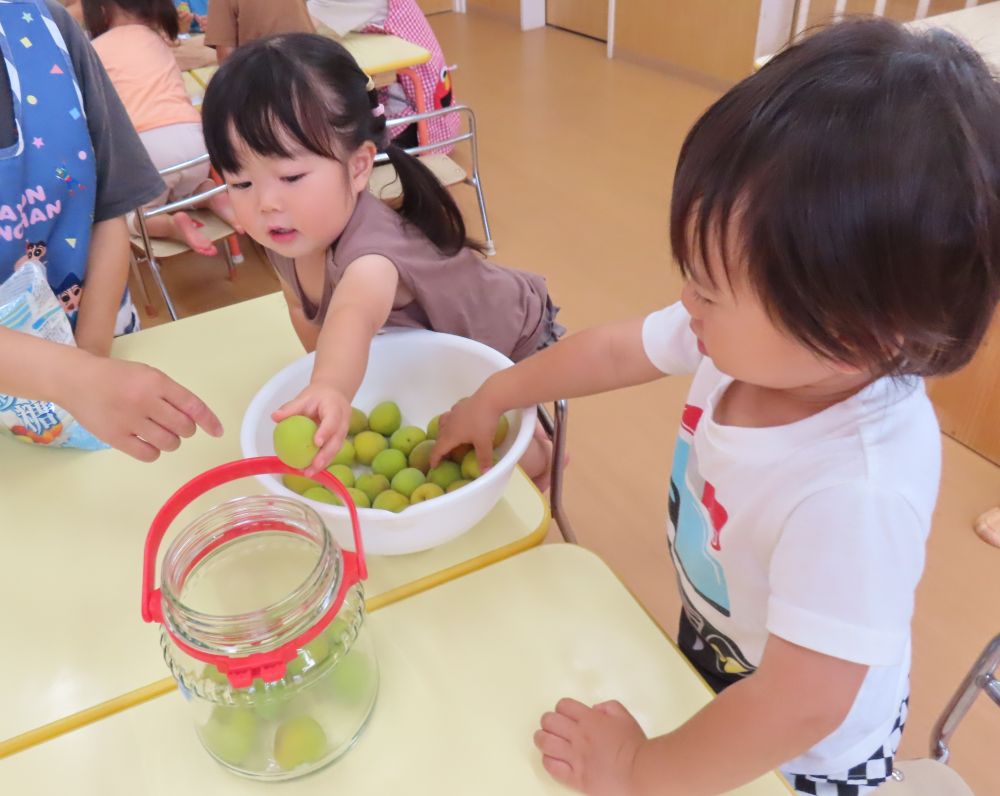 今年も梅ジュースを作りましょう♪

ビンの中に
”梅”と”氷砂糖”を交互に入れて・・・