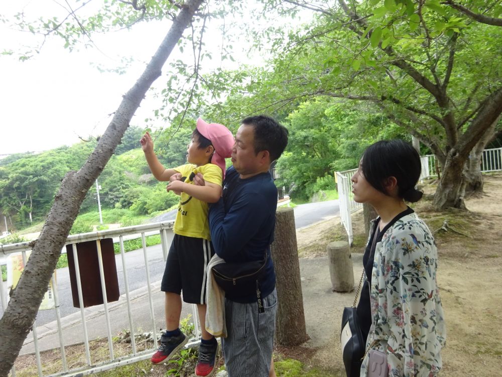 早速虫探しスタート ！ ！
高い所に虫を発見！
今日はお家の人とという
協力な助っ人がいるおかげで
高いところにいる虫だってお手の物♡

抱っこしてもらう特別感も味わえて
一石二鳥♡
