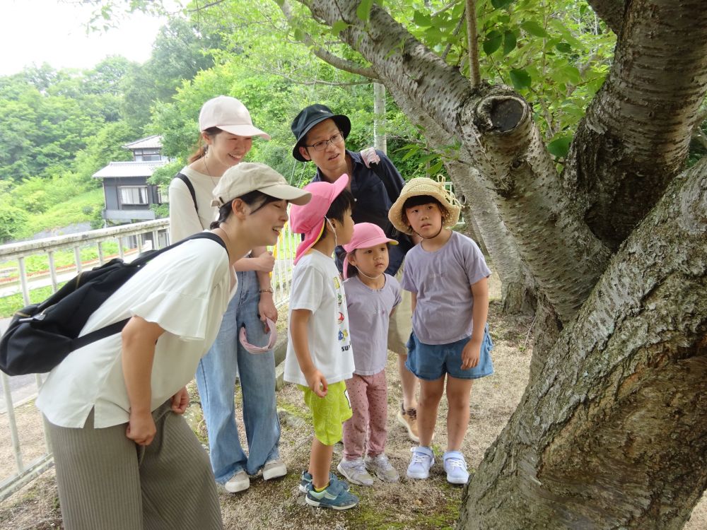 まさかのクワガタ発見に
子どもたちの目はキラーン☆
虫探しにさらに気合いが入ります☆

木からは樹液がたくさん出ており
「朝来たらカブトムシもクワガタもおりそうじゃない？」
とおうちの方も興味津々！
