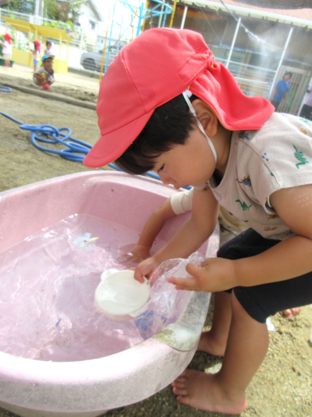 ビニール袋をもらったHくん
さっそく色水作りに取り掛かります！
花びらを入れて・・・
水を汲んで・・・
前に作った経験を思い出し手際よく作り始めていました