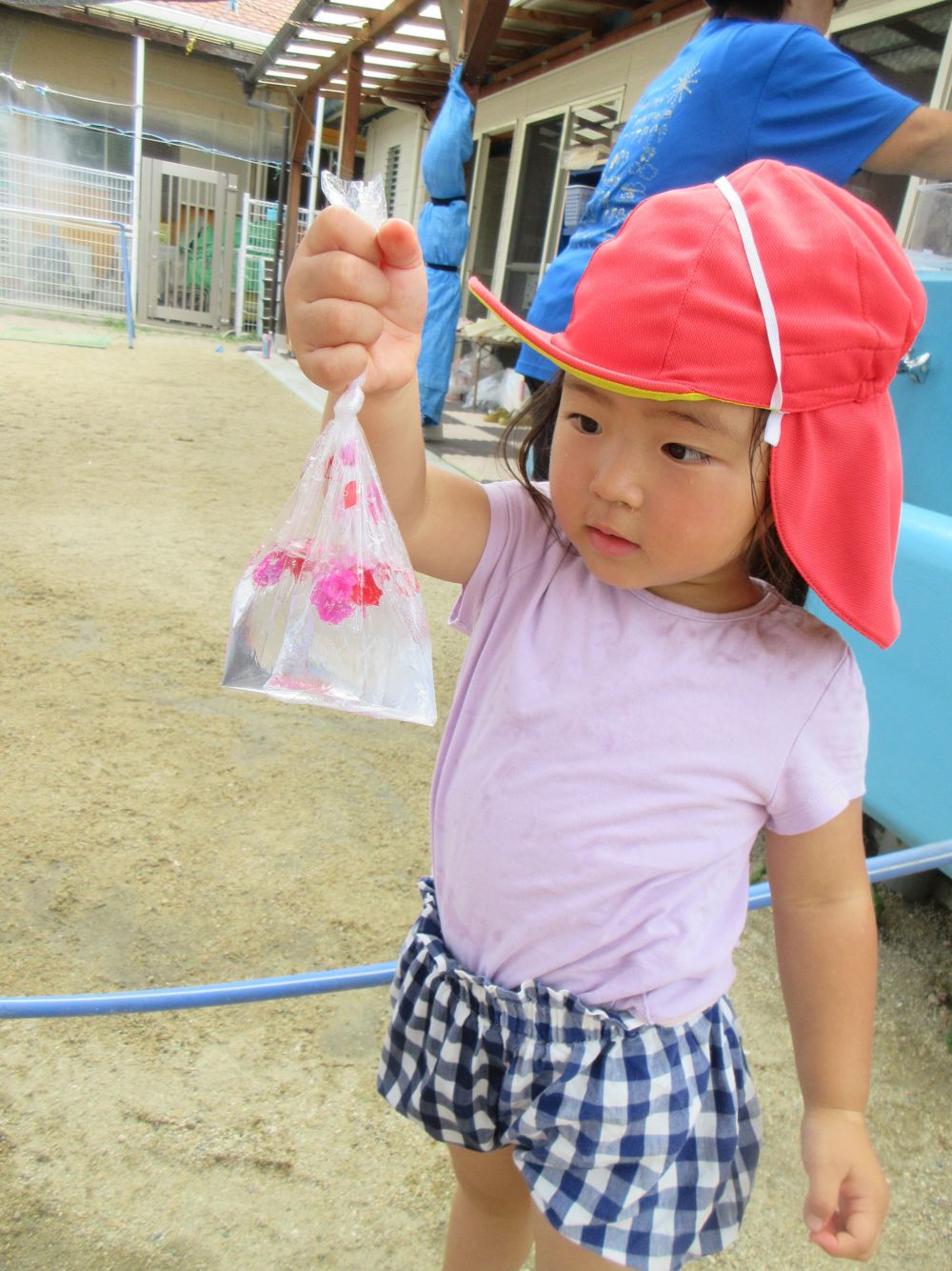 袋に入った水のタプタプした感触や重さも楽しみながら作っていました

水や花びらでできた自然の色水の美しさに魅了される子どもたちでした♪