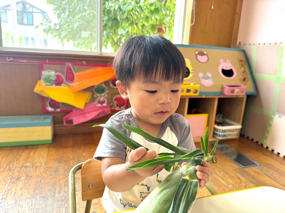 今日は食育の日♪

とうもろこしを触りました🌽


”何の野菜かな？”

”長い葉っぱがついてる！”

