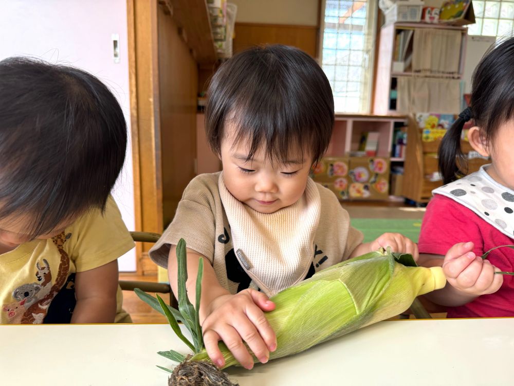 さっそく皮をむいてみるヒヨコ組さん、

片手でがんばって抑えて、力いっぱいに引っ張ります！

”よいしょ～！！”