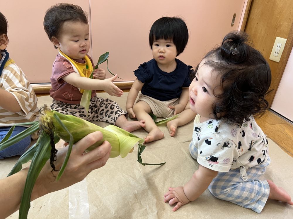 今日の食育は”とうもろこし”🌽

とうもろこしの皮をみんなでむいて・・・
