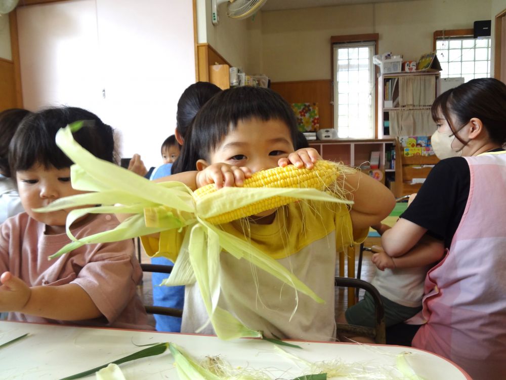 こっちでも、もじゃもじゃを見つけたようです。

「とうもろこしの”ひげ”だよ～！」

と、先生に教えてもらうと、

「みて～！😄」

やってみたようです。

まさかのまるごと！
大きなひげになったね😝